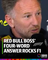 Christian Horner couldn't help himself.