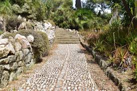 Gartenidee Gepflasterter Gartenweg In Mediterraner Umgebung Aus Palmen Und Sukkulenten In 2020 Steingarten Steingarten Anlegen Garten