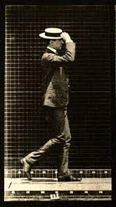 Gif Click It Animal Locomotion Vol 7 1872 1885 Eadweard Muybridge Photographer Eadweard Muybridge Cool Animations Animation Reference