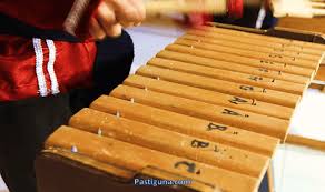 Semoga dalam keadaan baik baik saja, nah kali ini kakak ingin membagikan kepada adik adik mengenai materi yang telah disusun yaitu materi tentang seni musik dari mata pelajaran seni budaya yang pembahasan diambil dari materi jenis dan fungsi alat musik tadisional untuk adik. Berbagai Jenis Nama Alat Musik Pukul Yang Harus Kamu Ketahui