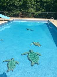 Pool Tile Fun Turtles Chasing Off A Shark 3d Pool Tile Diy Pool Pool Renovation Swimming Pool Remodeling