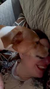 This guy is obsessed with licking my face. I know it’s one way dogs show  affection and submission & comfort but is there any way to get him to cut  it out! 😂