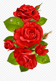Browse 6,801 flower line drawing stock photos and images available, or search for emerging flower line drawing or flower line drawing pattern to find more great stock photos and pictures. Red Rose Clipart Beauty And The Beast Roja Flowers Photos Hd Download Png Free Transparent Png Images Pngaaa Com
