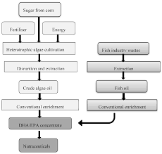 Microorganisms Free Full Text The Dark Side Of Microalgae Biotechnology A Heterotrophic Biorefinery Platform Directed To W 3 Rich Lipid Production Html