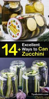 Can you pressure can zucchini relish. 14 Excellent Ways To Can Zucchini