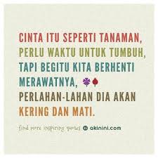 Pin Di Cinta