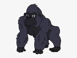 Los gorilas (género gorilla) son primates herbívoros que habitan los bosques de áfrica central. Drawing Gorilla Png Royalty Free Stock Gorila En Dibujo Free Transparent Png Download Pngkey
