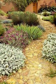 Organic Garden Tips And Tricks For New Growers Useful Garden Ideas And Tips Mediterranean Garden Mediterranean Garden Design Xeriscape Front Yard