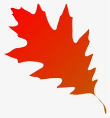 Fall Leaf Png Transparent Fall Leaf Png Image Free Download Pngkey Line vector pine leaf sign, symbol for web and mobile. fall leaf png transparent fall leaf