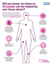 Image result for Tissue Donation