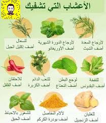 معلومات مفيده اعشاب مفيده علاجات طبعي Skin Care Wrinkles Organic Skin Care Aging Skin Care