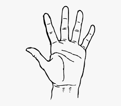 Black and white animal drawings cliparts co. Black Icon Left Right Outline Hand Drawing Open Hand Clipart Black And White Png Image Transparent Png Free Download On Seekpng
