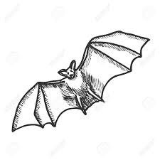 Hand Gezeichnet Doodle Halloween Fledermaus Schwarze Feder Objekte Zeichnen Design Illustration Fur Poster Flyer Uber Weissem Hintergrund Lizenzfrei Nutzbare Vektorgrafiken Clip Arts Illustrationen Image 63441442