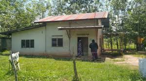 Kembangkan pertanian modern kementan gencarkan bantuan alsintan halaman all kompas com senarai bantuan ibu tunggal kpwkm jkm Bantuan Mara Sentuh Hati Ibu Tunggal Ewarta Mara