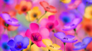 Hd Pics Photos Flowers Colorful Bright Desktop Background Wallpaper Amazing Flowers Flower Pictures Flower Wallpaper