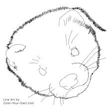 Check out our ferret coloring page selection for the very best in unique or custom, handmade pieces from our shops. Ferret Coloring Page