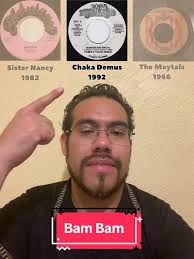 Songs Like Bam Bam Sister Nancy