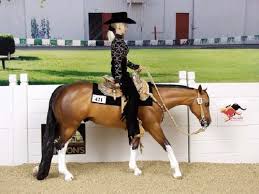 Breyer western horse and rider. Advanced Western Pleasure Western Pleasure Breyer Horses Beautiful Horses