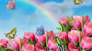 Animated Flower Wallpaper Best Hd Wallpapers Flower Wallpaper Hd Cute Wallpapers Cute Wallpapers