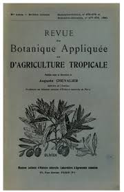 Image result for Clappertonia polyandra