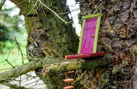 We did not find results for: A Real Life Wonderland Door Whidbey And Camano Islands