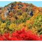 Ryozen Autumn Leaves Festival event image