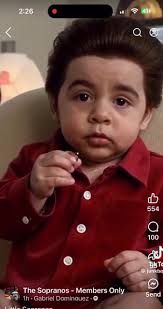 Non-Wrestling Post! Anyone that is a fan of The Sopranos will LOVE this!  😂😂