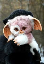 Small Mogwai Gizmo Etsy Animals Cute Animals Cute Fantasy Creatures