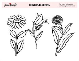 Flowers coloring pages to print oh just look how amazingly colorful is this category of printable flowers coloring pages. Free Flower Coloring Pages To Make Your Kiddo S Art Skills Blossom