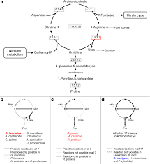 Prices will largely depend on your specific pest problem. Molecular Evolutionary Trends And Feeding Ecology Diversification In The Hemiptera Anchored By The Milkweed Bug Genome Genome Biology Full Text