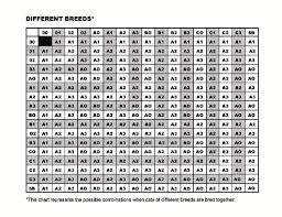 Tica Registration Codes With Regard To Savannah Cat Size