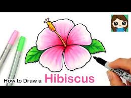 How To Draw A Hibiscus Flower Easy Youtube In 2020 Cute Flower Drawing Flower Drawing Hibiscus Flower Drawing