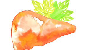 Regimul alimentar in hepatita b este foarte important, el putand proteja sau suprasolicita ficatul. Alimentatia Si Stilul De Viata In Hepatita Cronica Cu Virus Hepatitic B Reginamaria Ro