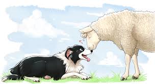 Border Collie Art Bordercollie Dessin Chien Plus Beau Chien Chien