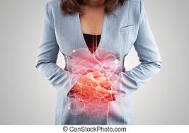 This article looks at female body parts and their functions, and it provides an interactive diagram. The Photo Of Stomach And Large Intestine Is On The Woman S Body Against Gray Background People With Stomach Ache Problem Canstock