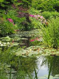 Shop lily pond garden & more. Monet S Garden The Water The Ordinary Gardener