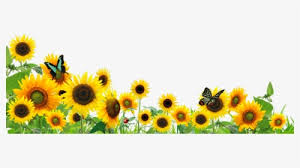 95 gambar foto bunga png terindah jika anda sedang mencari bunga png maka kami menyediakan bunga png untuk anda. Ftestickers Flowers Sunflowers Butterfly Border Sunflowers Png Transparent Png Transparent Png Image Pngitem