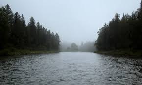 песня а я еду а я еду за туманом A Ya Edu Za Tumanom I Za Zapahom Tajgi Soobshestvo Gudsyorfing