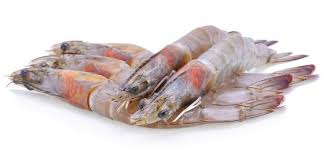 Check spelling or type a new query. Come Cucinare Code Di Mazzancolle Surgelate Cucinarepesce Com