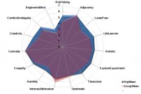 Skills Assessment Ovo Innovation