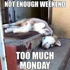 Here are some funny monday work memes that might help if you're having trouble getting out of bed maybe try 17 funny memes to get you through monday , or if you're really suffering here are some. Monday Morning Hilarious Motivation Meme To Make You Smile Mylovelytext Com