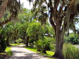 Avery Island En 2020 Ambiance Noel Ambiance Deco Verone