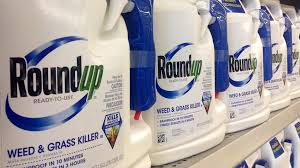 Is Glyphosate Roundup Dangerous