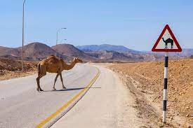 anger or violence between drivers because of difficult driving conditions. 11 Bizarre American Driving Laws Carbuzz