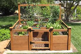 Tall, thorny, or especially fragrant plants can be a great deterrent for dogs. Gardens To Gro Ready Made Vegetable Gardens
