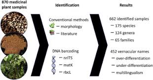 Image result for Carpolobia goetzei