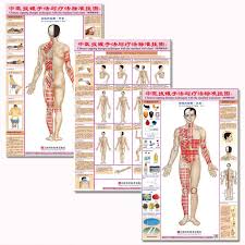 us 15 08 chinese cupping ba guan therapy techniques with the standard wall charts front back for common disease in flip chart from office