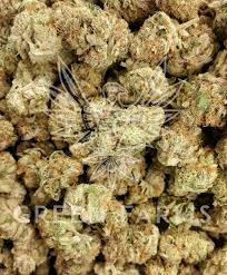 Gene networks underlying cannabinoid and . Green Farms Med On Twitter New Flower On The Shelves Pictured Here Is The Neverland An Interesting Indica Dominant Strain That Seems To Have Sativa Effects We Also Have Cheddarhead S Juliet