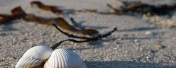 Plus précises et 4 fois par jour. The 10 Best Hotels Places To Stay In Soulac Sur Mer France Soulac Sur Mer Hotels