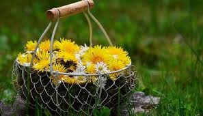 Don't forget to add meaning for the children and other members of the family that aren't part of the core relationship. Dandelion Flower Meaning Symbolism And Colors
